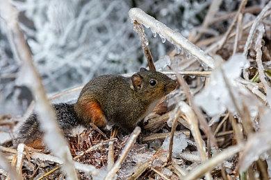 《永劫无间》今日Steam全球公测，新赛季、新武器、联动时装登场！